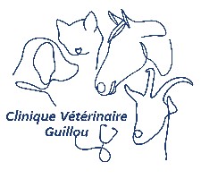 Clinique Vétérinaire GUILLOU les Vans
